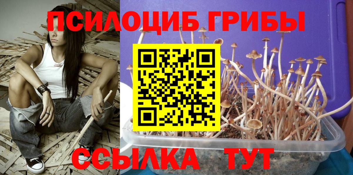 Псилоцибиновые грибы MAGIC MUSHROOMS  Вход с VPN  где продают наркотики  Москва 